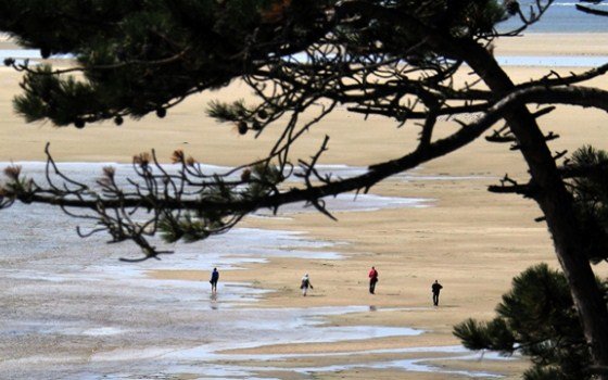 Beach Wadden Islands