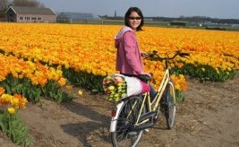 Tour dei Tulipani in Bici e Barca 