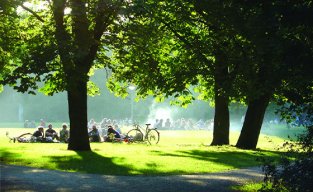 5. Pique-niquer au parc 5. Pique-niquer au parc
