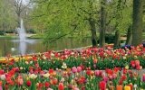 Keukenhof 2012: millones de bulbos en flor para inaugurar la primavera