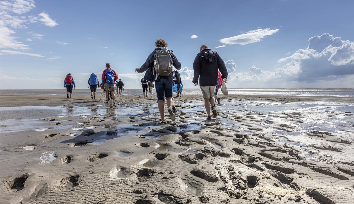 Group of mudflat walkers on the tidal flats