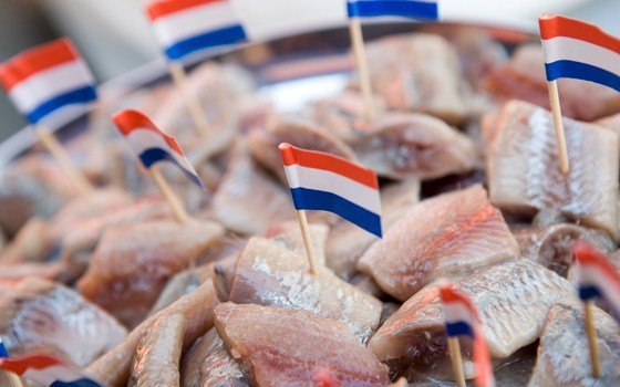 Welche Fische Darf Man In Holland Mitnehmen 5x eating fish in Volendam - Holland.com