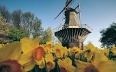 Holland information