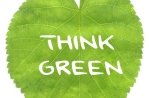 What's the buzz about Green Meetings