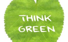 What's the buzz about Green Meetings