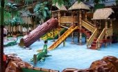 Aqua Jungle