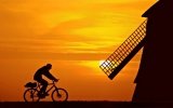 Viajes con destino