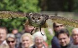 Outdoor Gelderland en Kasteelfair Middachten