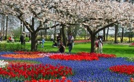Keukenhof Keukenhof