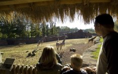Attracties in Limburg
