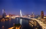 News from Holland – January 2011