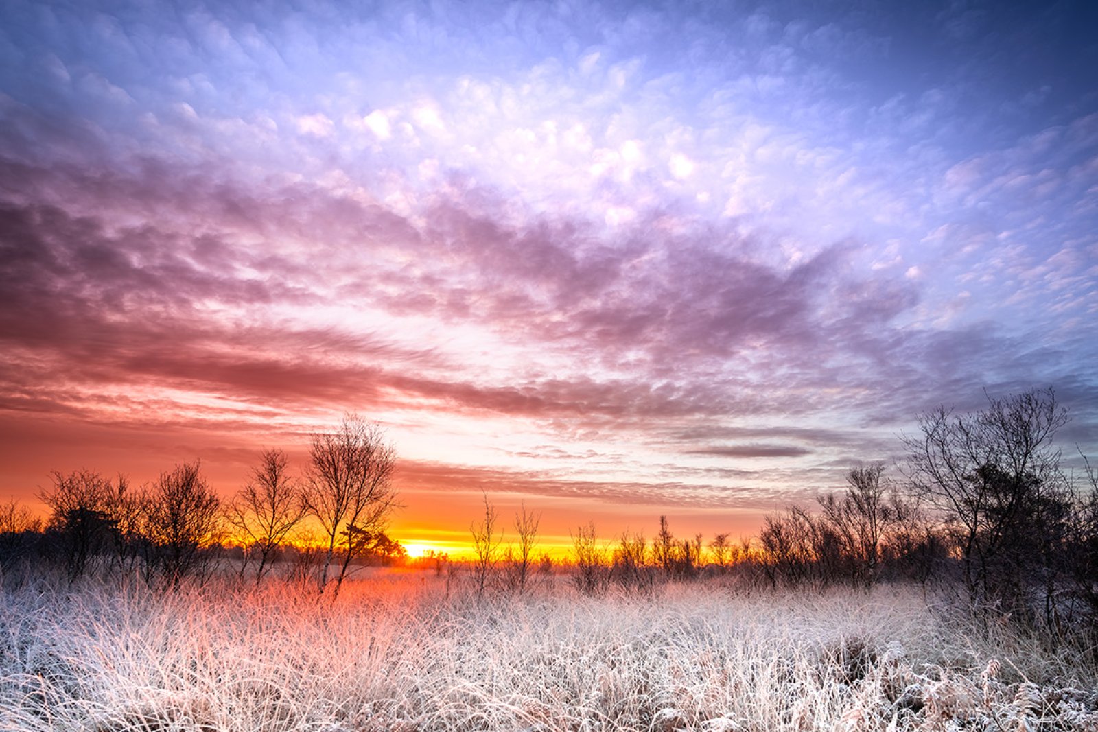 Sunrise in winter at National park Groote Peel between the provinces of Limburg and North Brabant