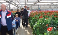 Get into the Greenhouse