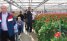 Get into the Greenhouse