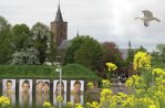 Fietsen door 't Gooi (43 km.)