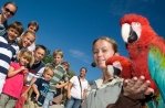 Vogelpark Avifauna