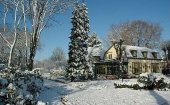 Hotels in a green environment