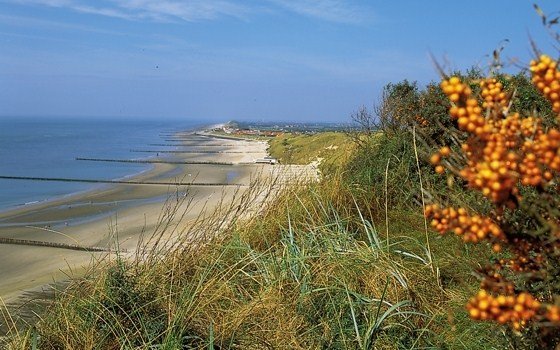 the beach and berrys