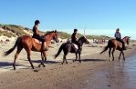 Paardrijden op het strand bij Den Helder