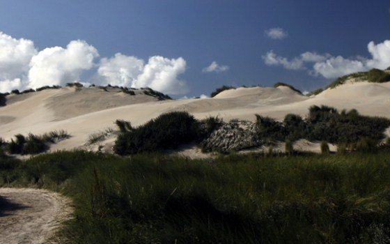 Beach Wadden Islands