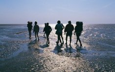 Passeggiate nel fango