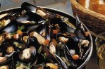 World Food Festival a Rotterdam