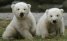 Ouwehands Dierenpark Rhenen