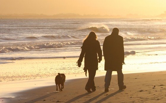 Couple walking on the beach during sunset