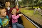 Logeren in Safaripark Beekse Bergen