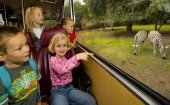Logeren in Safaripark Beekse Bergen