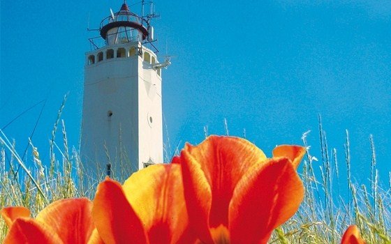 a lighthouse in noordwijk