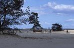 Gratis fietsen in De Hoge Veluwe