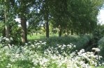 Zuid-Beveland
