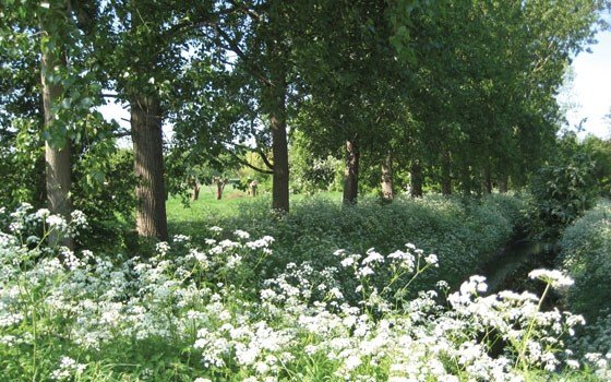 Zuid-Beveland