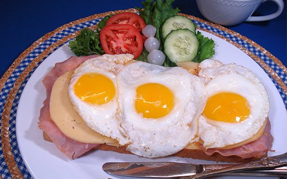 36700_fullimage_uitsmijter1_560x350.jpg