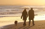 Mit dem Hund am Strand