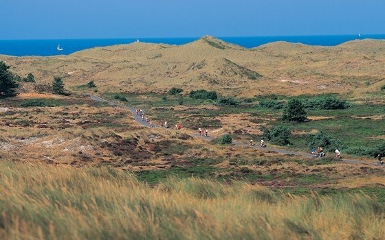 schoorl dunes cycling