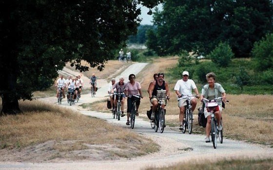 A group cycling over the Heath