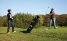 BurgGolf Herkenbosch