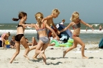 Hollandse stranden