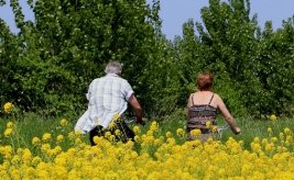 Rad und Natur