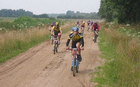 People cycling during the Bike 4 days of cycling in Drenthe province