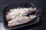 Vlaggetjesdag (Fähnchentag)