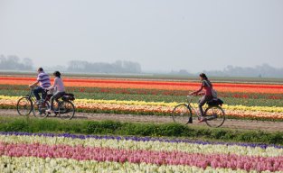 4. Ir en bicicleta por Holanda 4. Ir en bicicleta por Holanda