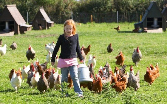 A girl with Chickens