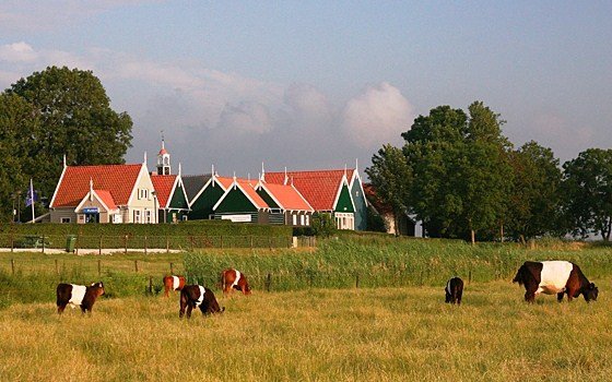 ®Schokland, Flevoland