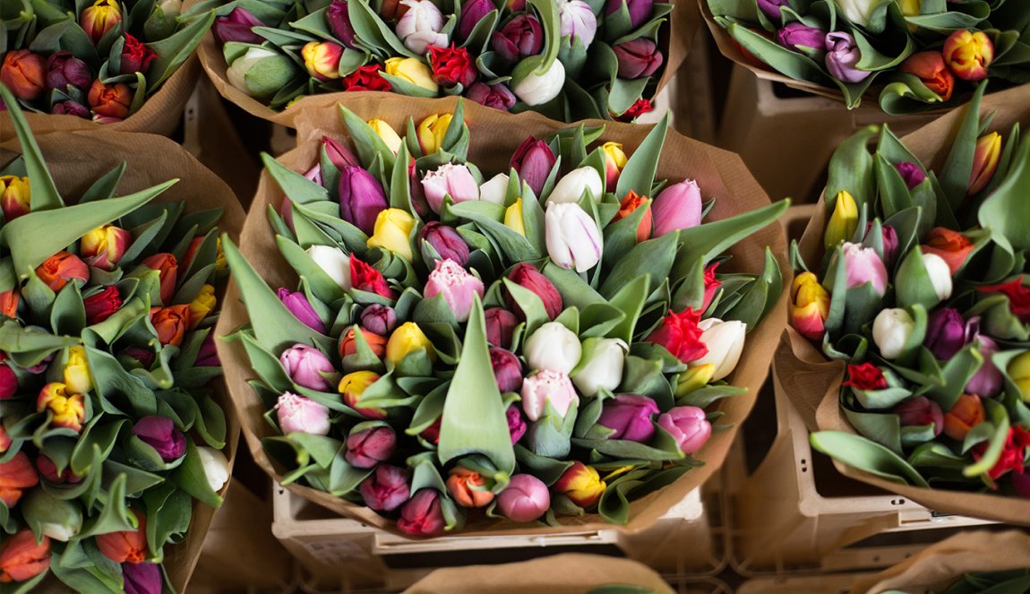 Focus on tulips at a market