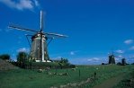 Green Heart - The Rijnstreek