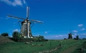 De Rijnstreek