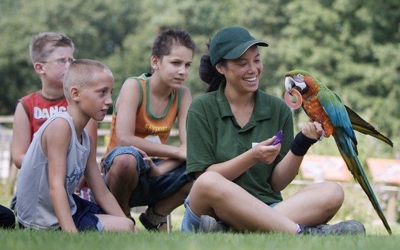 Bird show at Ouwehands Dierenpark Rhenen